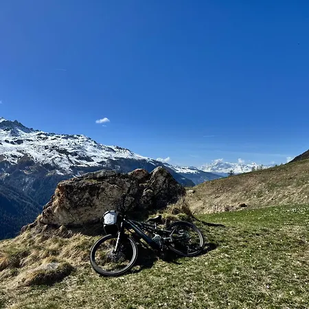 Alouette Evolène